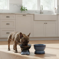 Nihow Elevated Ceramic Dog Bowls: 6.5 Inch Raised Dog Bowl for Food - 8.5 OZ + 22 OZ (2 Bowls) / Gray - image 4