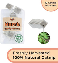 Interactive Catnip Bird Toy Set, Interactive Cat Toys for Indoor Cats, Cat Feather Toy, Suction Cup, Weighted Base, 5 Replacement Birds, Feathers & Bells, Realistic Bird Impression