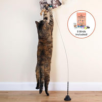 Interactive Catnip Bird Toy Set (5 Replacement Catnip Birds)