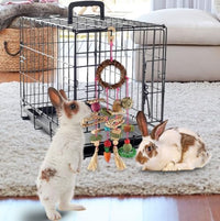 YIXUND Rabbit & Guinea Pig Toys - 18 Pcs - image 4