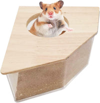 kathson Hamster Sand Bath Box Transparent Acrylic Small Animals - Large - Pentagon