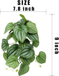 2Pack Reptile Plants for Terrarium - I-fake Calathea Orbifolia - image 2