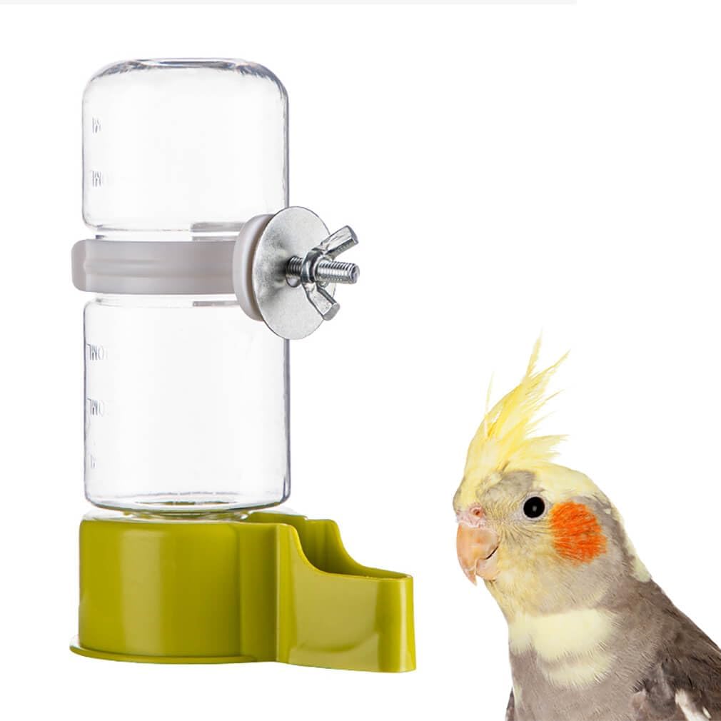 Pet Bird Automatic Water Feeder - Green
