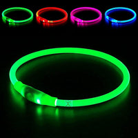 Led Dog Collar, BSEEN USB Rechargeable Flash Light up Dog Collar – Essentials for Dogs - Green