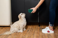 Waggo Ripple Ceramic Dog Bowl for Medium and Large Breeds - Modern with Matte Finish, Heavyweight Durable Pet Food and Water Dish Crock, Dishwasher Safe (Large, Teal)