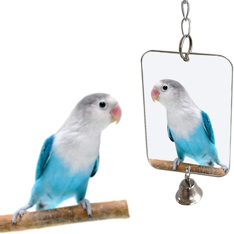 Bird Mirror with Swing and Perch for Parakeets Cockatiels Lovebirds - 3.14''W * 4.72''H