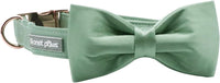 Lionet Paws Bowtie Dog Collar - Small (Pack of 1) / Grass Green - image 4