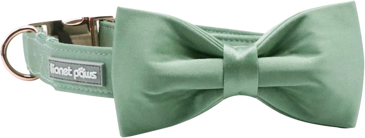 Lionet Paws Bowtie Dog Collar - Small (Pack of 1) / Grass Green - image 4