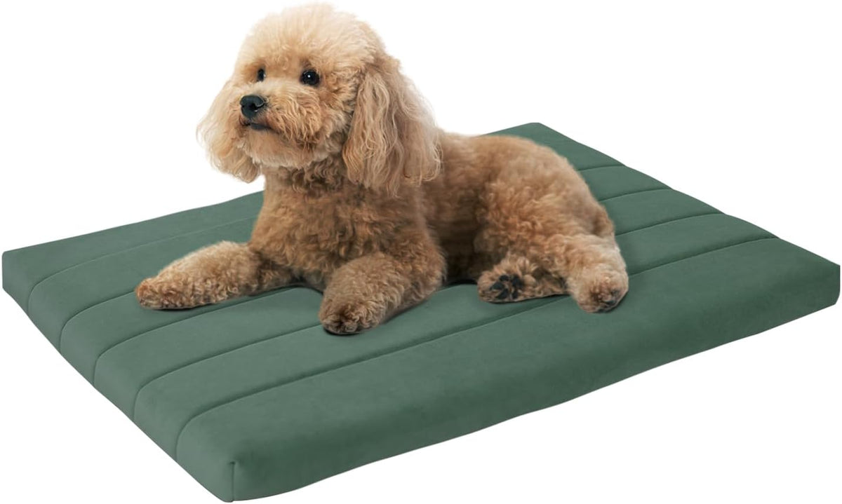 BALANCE Dog Crate Bed, Orthopedic Dog Bed Pad with Waterproof Liner, Washable Crate Foam Pet Mat - Mint Leaf / 30.0"L x 19.0"W x 1.6"Th