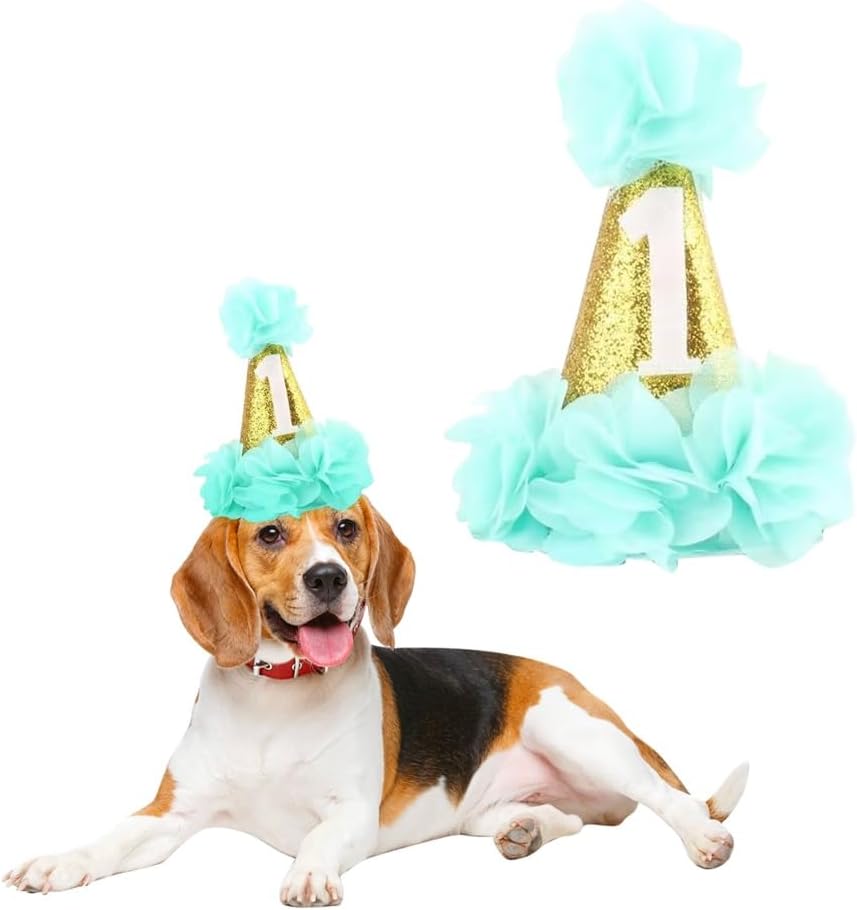 Stock Show 1st Pet Birthday Cone Hat Dogs Cats Holiday Party Hat - Blue