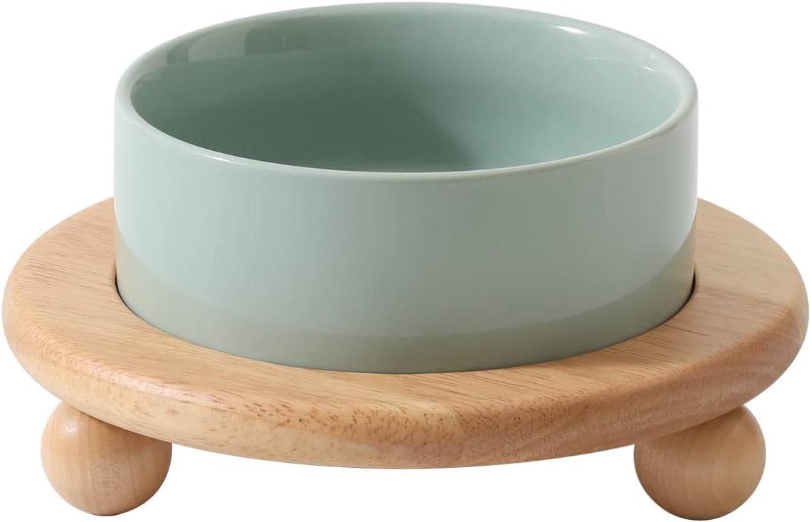 Cat Bowls Set of Two, 5.1” Ceramic Cat Food Bowls - Light Green / Bowl+Tray - 5.1"