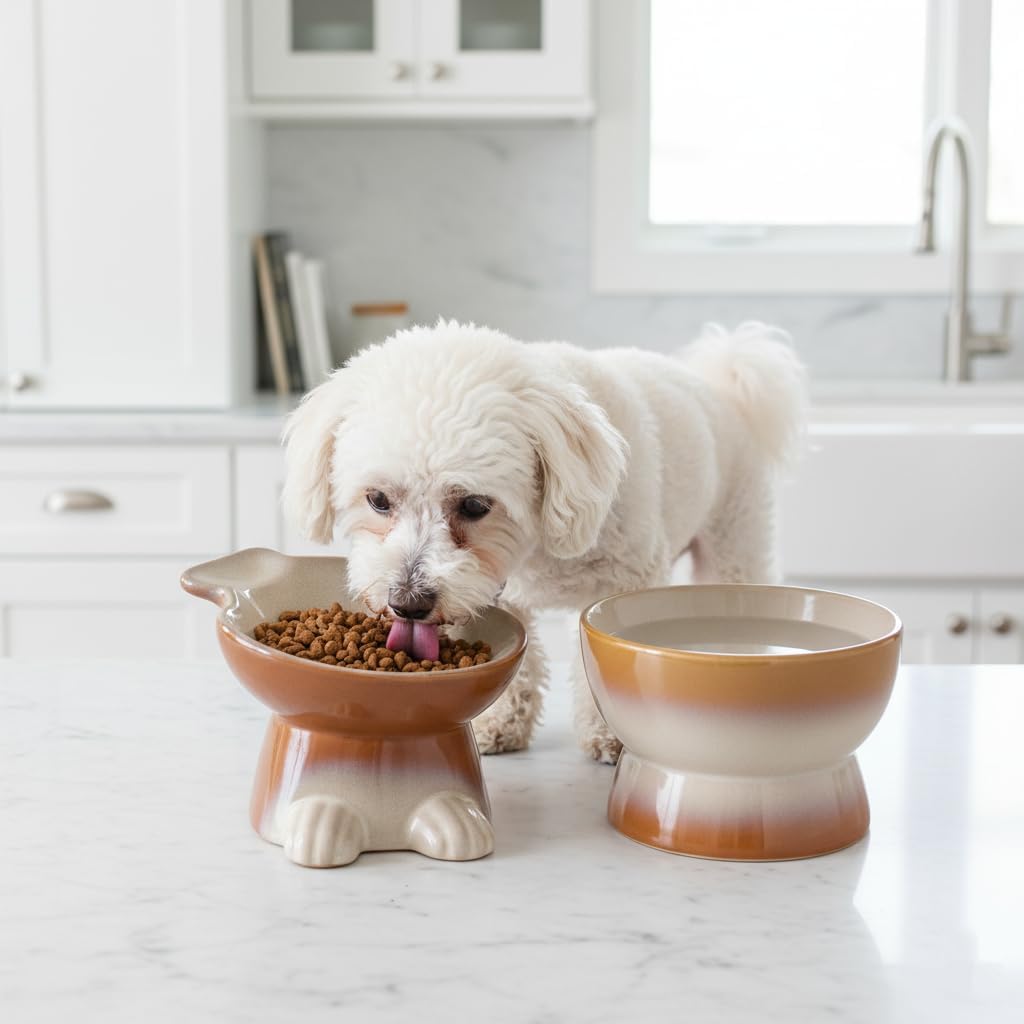 Nihow Elevated Ceramic Dog Bowls: 6.5 Inch Raised Dog Bowl for Food - 8.5 OZ + 22 OZ (2 Bowls) / Brown - image 4
