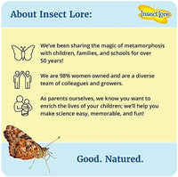 Insect Lore Bug Camp Bundle | Butterfly Kit with 1 Cup Live Caterpillars | Ladybug Land with 1 Tube Live Larvae | Ant Mountain with 1 Tube Live Western Harvester Ants | Life Cycle Figurines & More