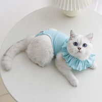 Cat Recovery Suit for Abdominal Wounds and Skin Diseases,Breathable Surgical Recovery Shirt After Surgery Wear Anti Licking Wounds,E-Collar Alternative for Female Cats Kitten(RSC01-green-m)
