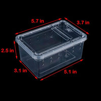 5 Pcs Spider Small Terrariums Breeding Box Transparent Hatching Container Plastic Feeding Box for Small Reptile Spider Scorpion Centipede Insect