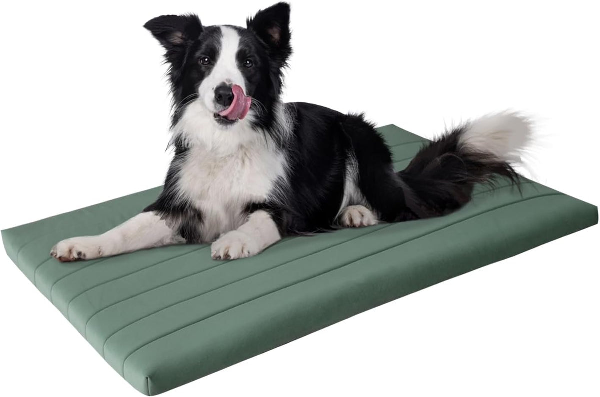 BALANCE Dog Crate Bed, Orthopedic Dog Bed Pad with Waterproof Liner, Washable Crate Foam Pet Mat - Mint Leaf / 42.0"L x 28.0"W x 2.0"Th