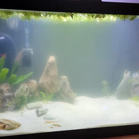 Natural Stone Aquarium Decoration 4.4 lb Dragon Stone Rock Mixed Sizes for Micro Landscape Fish Tank Decor