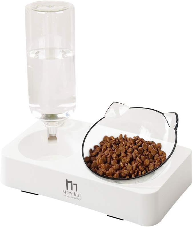 Marchul double elevated cat bowl with 15 degree tilt, anti-skid stand and 17 oz automatic water bottle