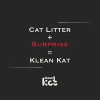 All Natural Clumping Cat Litter – Multiple Scents – Low Dust, Odor Control – Unscented 18 lb - Surprise Toy Inside
