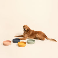 The Perfect Dish, Silicone Dog Bowl for Food & Water - Blush / Large (9.5” Across and 2.5” Tall) - image 3