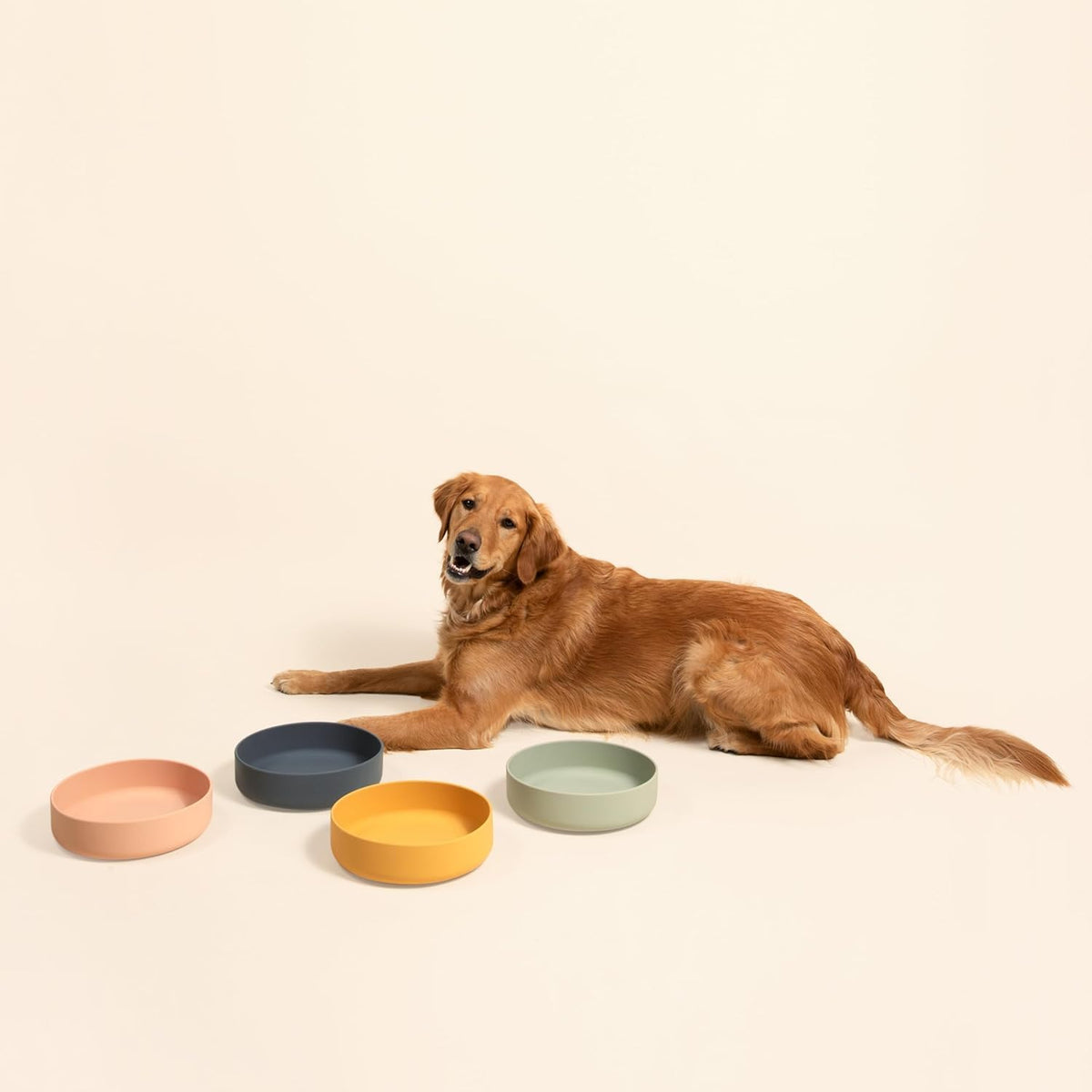 The Perfect Dish, Silicone Dog Bowl for Food & Water - Blush / Large (9.5” Across and 2.5” Tall) - image 3