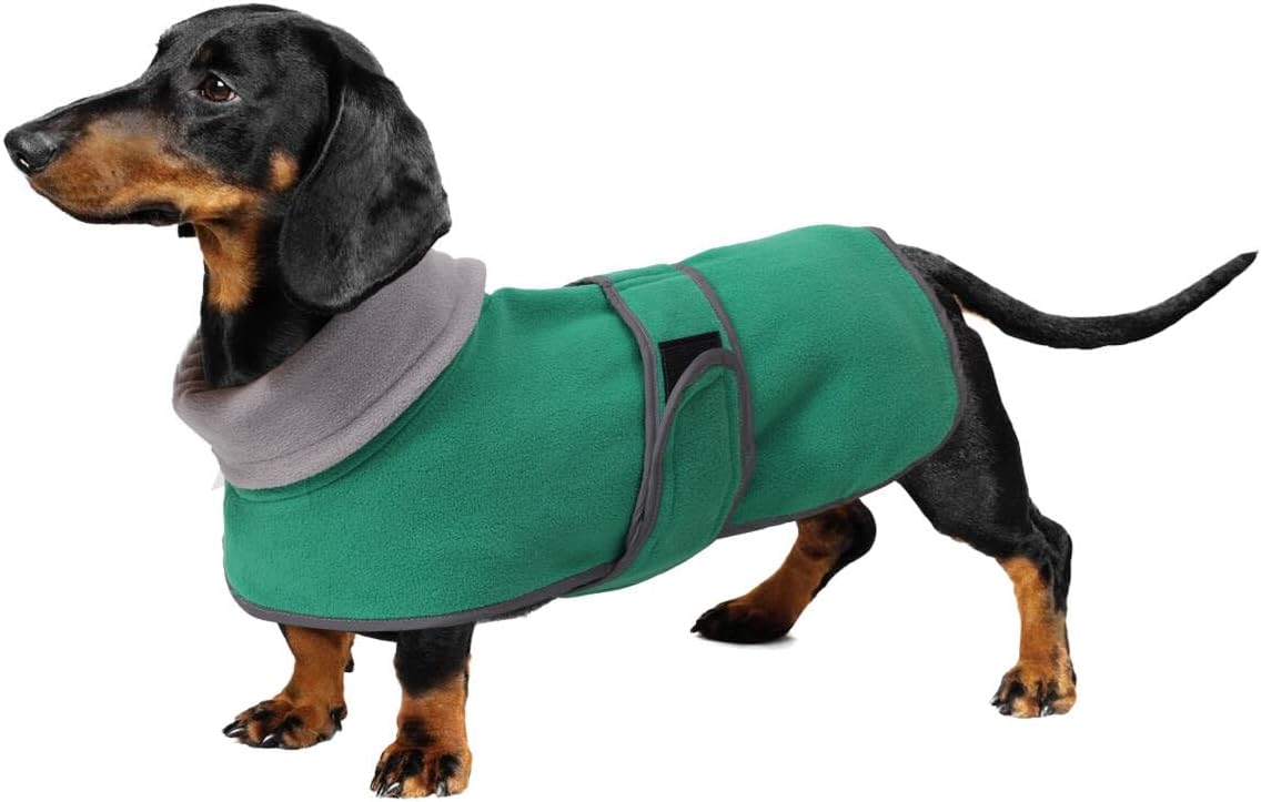 Dachshund Sweaters, Dachshund Coat Perfect Dog Winter Coat with Padded Fleece Lining - Large / Green