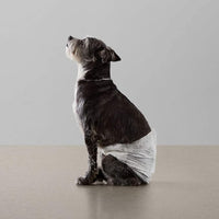 Amazon Basics Absorbent, Leakproof Male Dog Wrap Disposable Diapers, Small, Pack of 50, White
