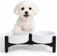 Raised Ceramic Dog Bowl Set with Stand - White / 2 Bowls - 2.1 Cups Each