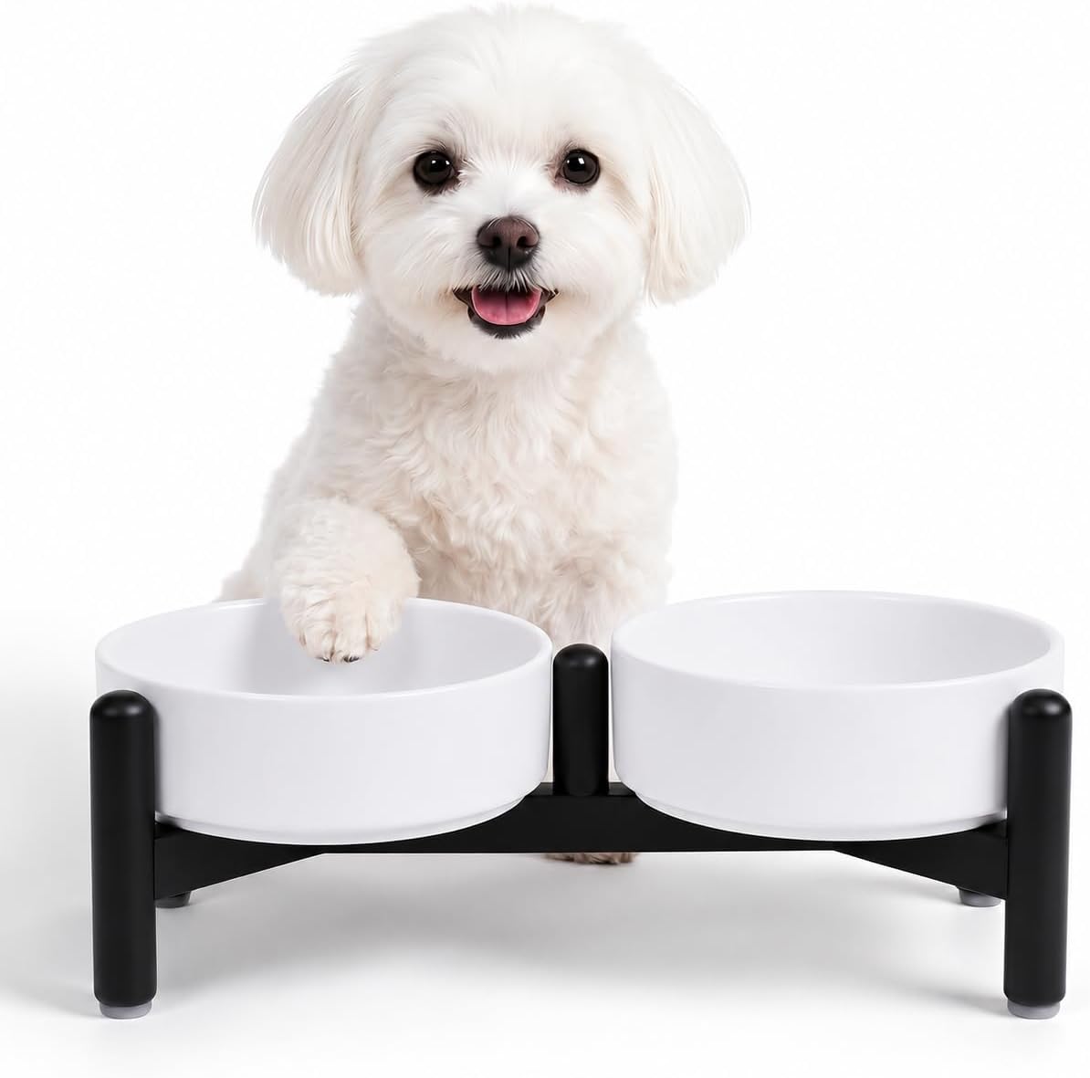 Raised Ceramic Dog Bowl Set with Stand - White / 2 Bowls - 2.1 Cups Each