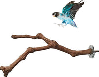 PINVNBY Parrot Perches Natural Birds Stand Wild Grape Stick Grinding - 1 PCS: 