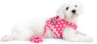 No Pull Polka Dot Small Dog Puppy Cat Harness with Crown - Pink / M (chest 13.4",fit 5-7 lbs) - image 2