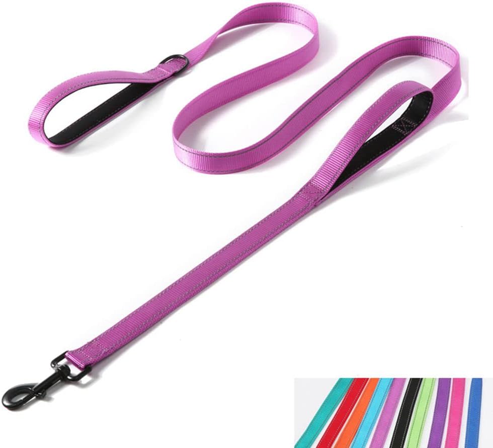 Reflective Nylon Dog Leash Heavy Duty - Purple / 6ft * 1"