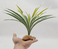Reptile Plants Terrarium Decor, Reptile Tank Decorations - Fake Spider Plants - image 2