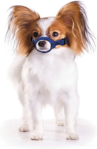 Four Flags Quick Muzzle – Essentials for Dogs - X-Small