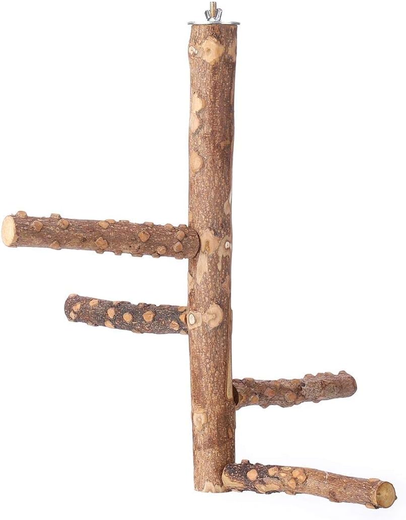 Bird Perch Nature Wood Stand for 3-4pcs Small Medium Parrots – Essentials for Birds - M