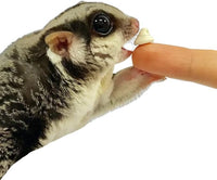 Yogu Drops With Blueberry - Healthy Natural Fruit & Yogurt Treat - For Sugar Gliders, Rats, Chinchillas, Ferrets, Parrots, Hamsters, Hedgehogs, Guinea Pigs, Rabbits & Small Pets (4.25 Ounce)