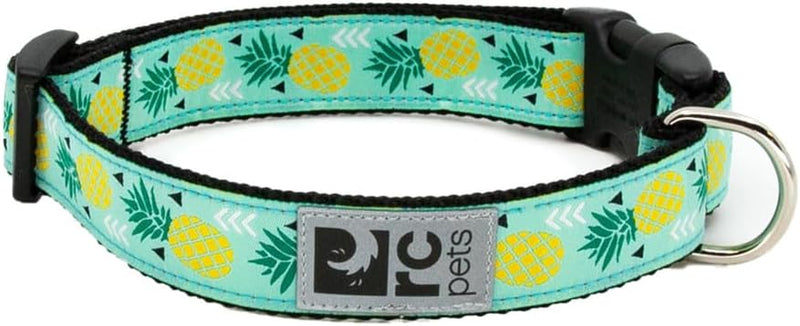 RC Pets Clip Collar, Large, 1-Inch, Fresh Tracks Blue – Essentials for Dogs - Pineapple Parade / Large