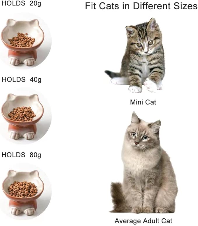 Nihow Elevated Cat/Dog Bowls Set : 5 Inch Ceramic Raised Cat Food & Water Bowl Set for Protecting Pet's Spine - Feeding & Watering Supplies for Pets - Elegant Brown (2 PC)