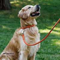 CollarDirect Rolled Leather Dog Collar, Soft Padded Round Puppy Collar, Handmade Genuine Leather Collar Dog Small Large Cat Collars 13 Colors (13-16 Inch, Orange Textured)