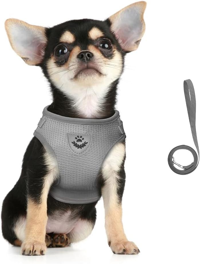 FEimaX Dog Harness and Leash Set for Walking - Grey / X-Large