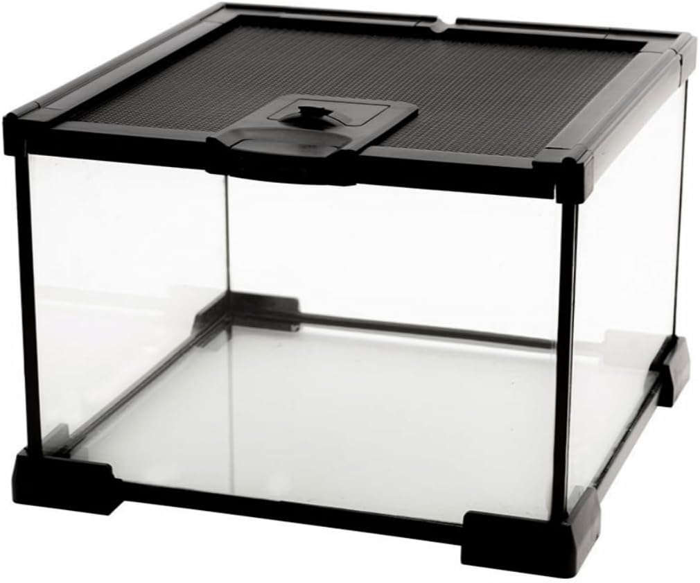 AWXZOM Mini Reptile Glass Terrarium Tank - 7.9x7.9x5.7inch
