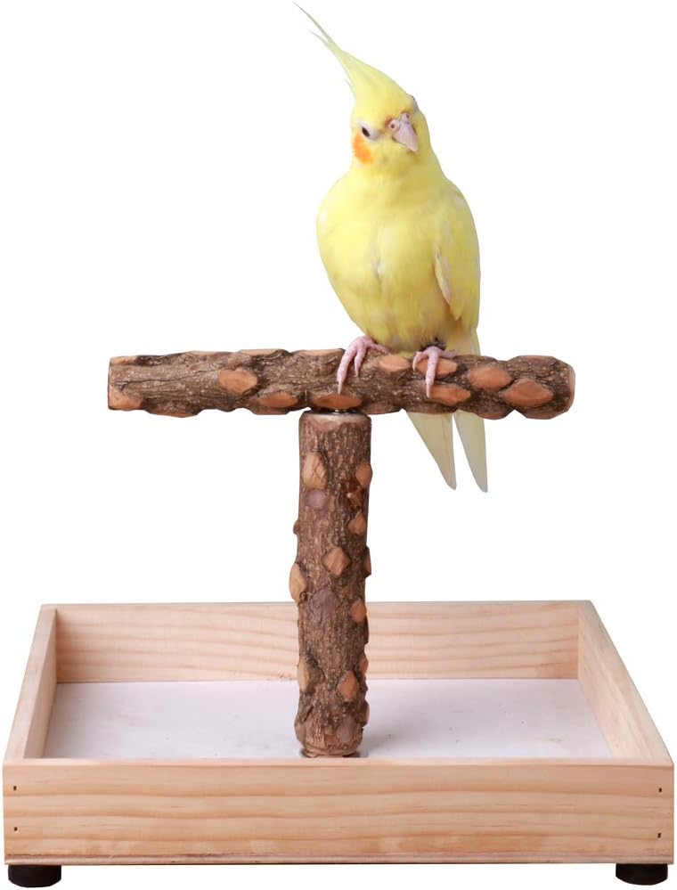 Kintor Bird Stand, Natural Wood Tabletop T Perch for Small & Medium Parrots – Essentials for Birds