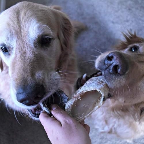 Full-Size Cow Hooves for Dogs | All-Natural Long Lasting Dog Chews | Made from Grass Fed Cattle | Tasty Treat for Oral Hygiene | Fantastic Alternative for Rawhide and Bully Sticks (100 Count)