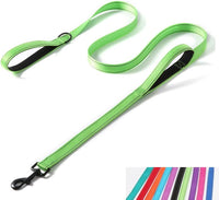 Reflective Nylon Dog Leash Heavy Duty - Green / 5ft * 1"