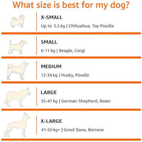 Amazon Basics Cooling Breathable Elevated Dog Bed with Metal Frame for Small Dogs, 36 x 22 x 7.5 Inch, Green