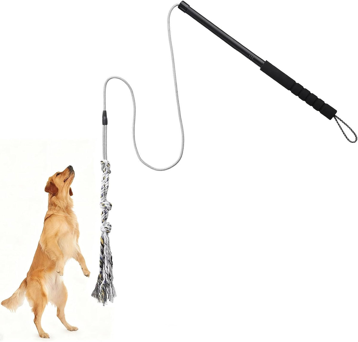 Gingull Outdoor Flirt Pole for Dogs