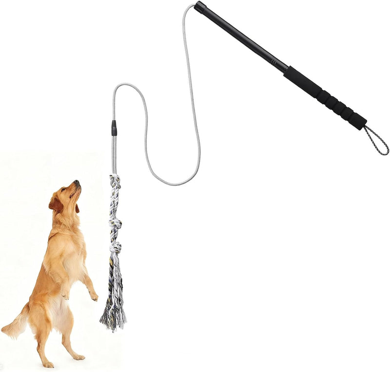 Gingull Outdoor Flirt Pole for Dogs