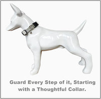 SuperBuddy Dog Collar, Adjustable Dog Collar with Bowtie - Medium / Green-1 - image 2