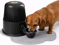 Pet Water Dispenser for Dogs and Cats - Opaque Black
