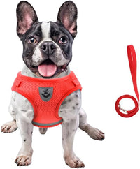 FEimaX Dog Harness and Leash Set for Walking - Red / X-Large